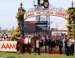 Escado parading before the Derby